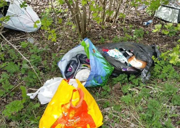 Bags of rubbish dumped in the Children's Forest in Sunderland.