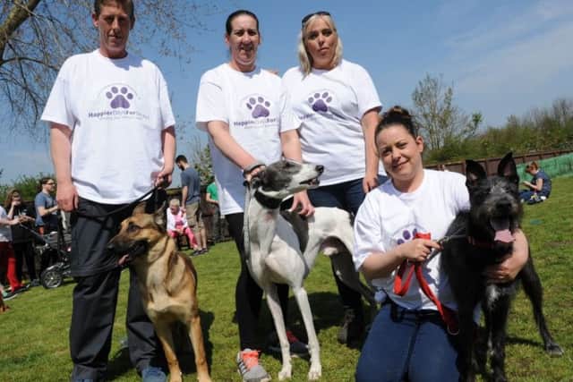Happier Days for Strays founders Lisa Scott, left, and Gail Lomax, second right, with volunteers Tracy Howat and Shelly Newby with some of the dogs they have helped.