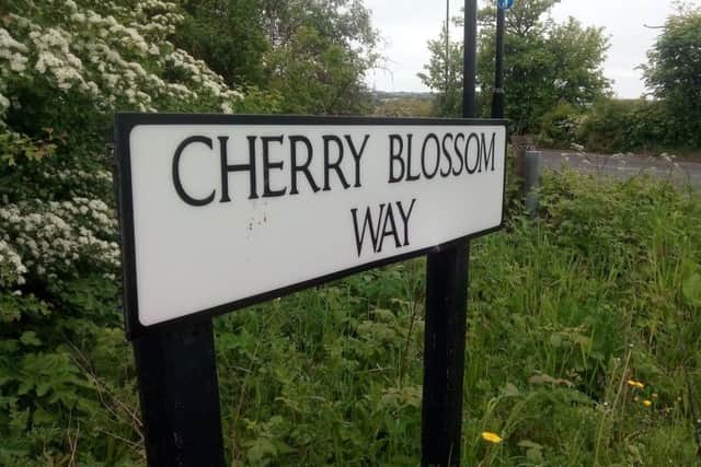 The accident happened at Cherry Blossom Way's junction with the A1290