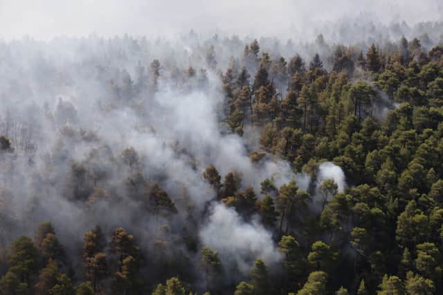 This picture shows wildfire smokes near the village of Stavros on the island of Evia (Photo: Getty Images)